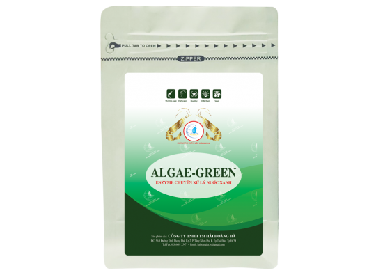ALGAE - GREEN: Enzyme chuyên xử lý nước xanh
