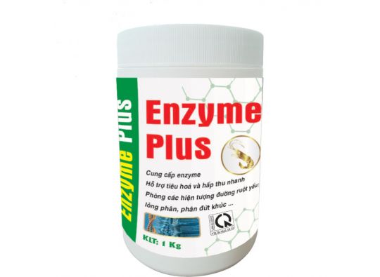 ENZYME PLUS : Cung cấp enzyme, hỗ trợ tiêu hóa và hấp thu dưỡng chất nhanh