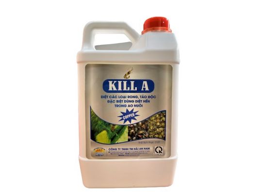 KILL A: COPPER_Diệt các loại rong tảo độc, diệt hến trong ao nuôi