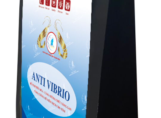 ANTI VIBRIO: Hỗ trợ tiêu hóa, tăng cường chức năng gan, tăng cường hệ miễn dịch cho tôm