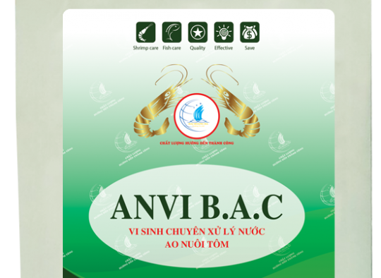 ANVI B.A.C: Vi sinh dùng xử lý nước,phân hủy mùn bã hữu cơ, giảm khí độc H2S, NH3, NO2 trong ao nuôi