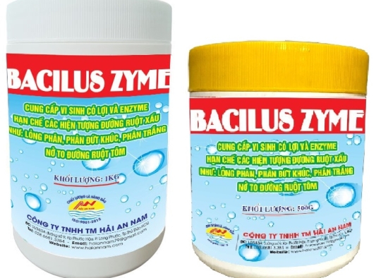 BACILUS ZYME: Cung cấp enzyme và vi sinh có lợi, hạn chế đường ruột xấu,...