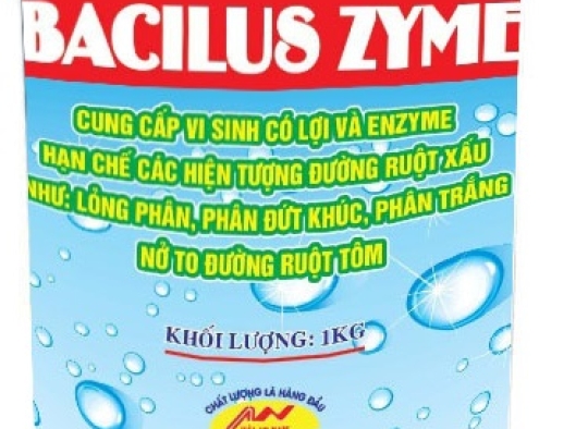 BACILUS ZYME: Cung cấp enzyme và vi sinh có lợi, hạn chế đường ruột xấu,...