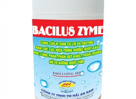 BACILUS ZYME: Cung cấp enzyme và vi sinh có lợi, hạn chế đường ruột xấu,...