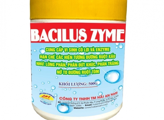BACILUS ZYME: Cung cấp enzyme và vi sinh có lợi, hạn chế đường ruột xấu,...
