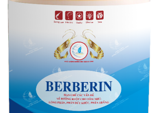 BERBERIN: Hạn chế các vấn đề về đường ruột cho tôm như: lỏng phân, phân đứt khúc, phân trắng