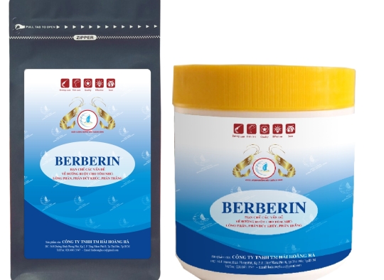 BERBERIN: Hạn chế các vấn đề về đường ruột cho tôm như: lỏng phân, phân đứt khúc, phân trắng