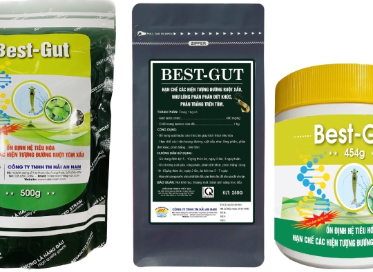 BEST - GUT: Thảo dược_Hỗ trợ tiêu hóa, hạn chế hiện tượng sưng gan, vàng gan,...