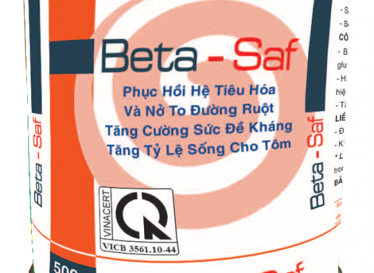 BETA - SAF: Lon thiếc_Phục hồi hệ tiêu hóa, nở to đường ruột, tăng  sức đề kháng, tăng tỉ lệ sống