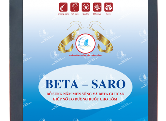 BETA – SARO: Bổ sung nấm men sống và Beta Glucan giúp nở to đường ruột cho tôm