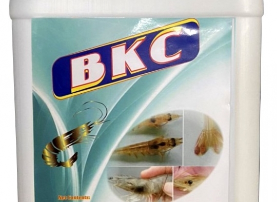 BKC: Diệt khuẩn, virus, nâm, nguyên sinh động vật, trị đóng rong nhớt trên tôm