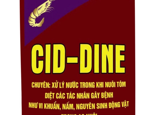 CID - DINE: Xử lý nước trong khi nuôi tôm, diệt các vi khuẩn, nâm, nguyên sinh động vật