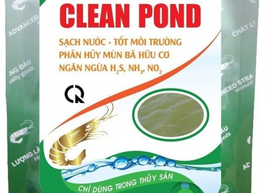 CLEAN POND:  Vi sinh cao cấp_phân hủy mùn bã hữu cơ ngăn ngừa H2S, NH3, NO2