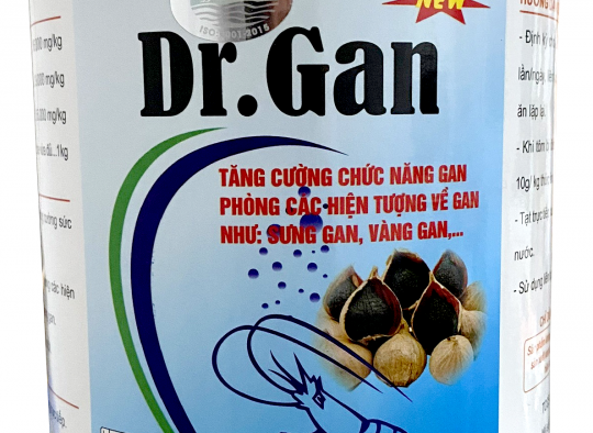 DR. GAN: Tỏi lên men_ Tăng cường chức năng gan, phòng các hiện tượng về gan như: Sưng gan, vàng gan 