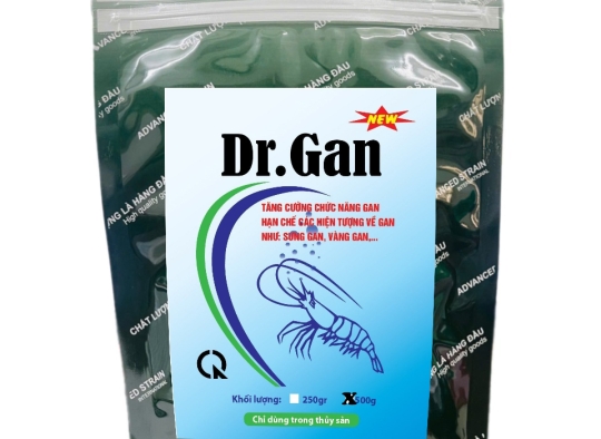 DR. GAN: tăng cường chức năng gan, hạn chế các hiện tượng về gan như: Sưng gan, vàng gan ...