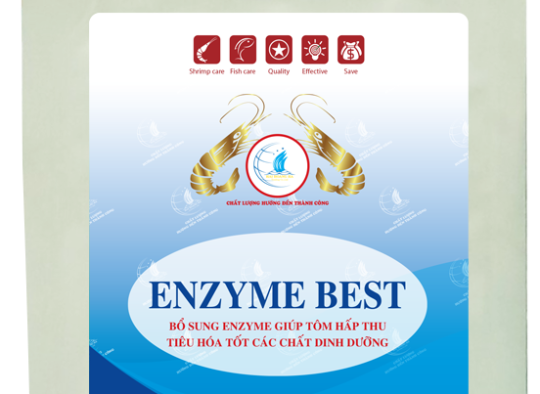 ENZYME BEST: Bổ sung enzyme giúp tôm hấp thu tiêu hóa tốt các chất dinh dưỡng