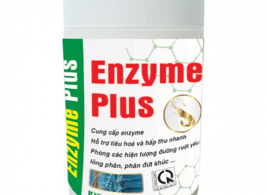 ENZYME PLUS : Cung cấp enzyme, hỗ trợ tiêu hóa và hấp thu dưỡng chất nhanh