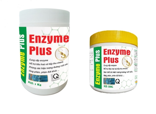 ENZYME PLUS : Cung cấp enzyme, hỗ trợ tiêu hóa và hấp thu dưỡng chất nhanh