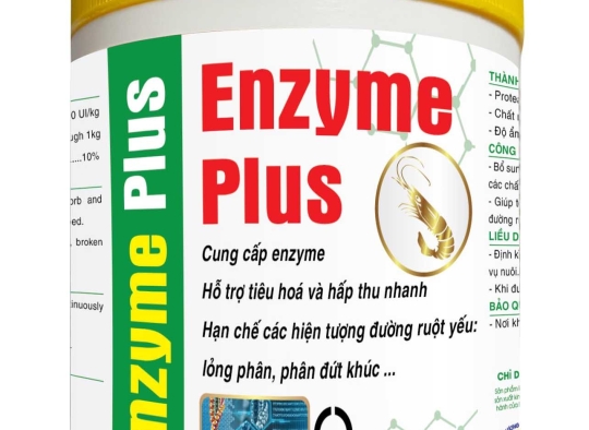 ENZYME PLUS : Cung cấp enzyme, hỗ trợ tiêu hóa và hấp thu dưỡng chất nhanh