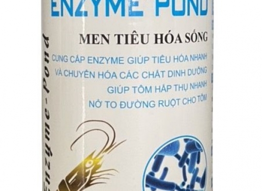 ENZYME POND: Cho ăn_ enzyme tiêu hóa cho tôm