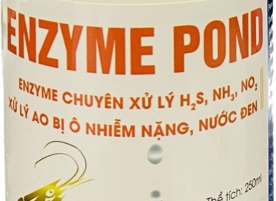 ENZYME POND:  Enzyme chuyên xử lý NH3, H2S, NO2, xử lý ao bị ô nhiễm nặng, nước đen.