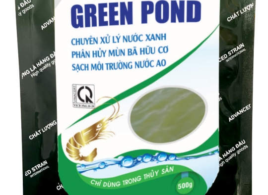 GREEN POND: Xử lý nước xanh_Phân hủy nhanh mùn bã hữu cơ, sạch nước