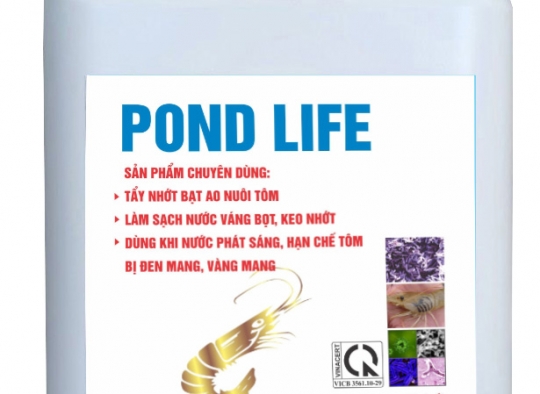POND LIFE: Đặc trị phát sáng nước, đen mang, vàng mang; tẩy sạch keo nhớt nước,...