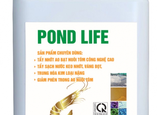POND LIFE - BLUE: Tẩy nhớt ao bạt nuôi tôm công nghệ cao, tẩy sạch nước keo nhớt, váng bọt, vàng man