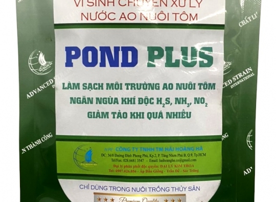 POND PLUS: Vi sinh xử lý nước & đáy ao nuôi tôm. Phân hủy mùn bã hữu cơ trong ao - Tạo màu nước đẹp