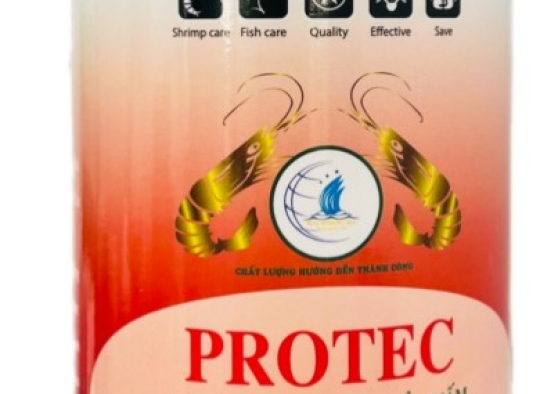 PROTEC: Diệt tảo độc, vi khuẩn, nấm, kí sinh trùng gây ra: Đứt râu, mòn đuôi, đóng rong,....