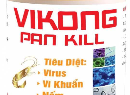 VIKONG PANKILL: Tiêu diệt vi khuẩn, virus, nấm, đặc biệt trị bệnh đốm đen ở tôm