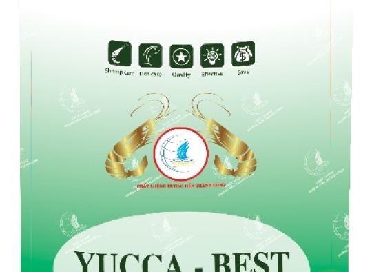 YUCCA - BEST: Hấp thu khí độc H2H, NH3 - cấp cứu tôm nổi đầu khi bị khí độc trong ao nuôi