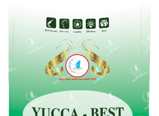 YUCCA - BEST: Hấp thu khí độc H2H, NH3 - cấp cứu tôm nổi đầu khi bị khí độc trong ao nuôi