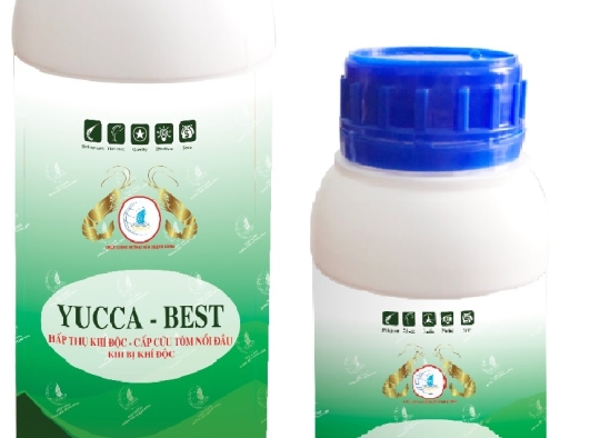 YUCCA - BEST: Hấp thu khí độc H2H, NH3 - cấp cứu tôm nổi đầu khi bị khí độc trong ao nuôi