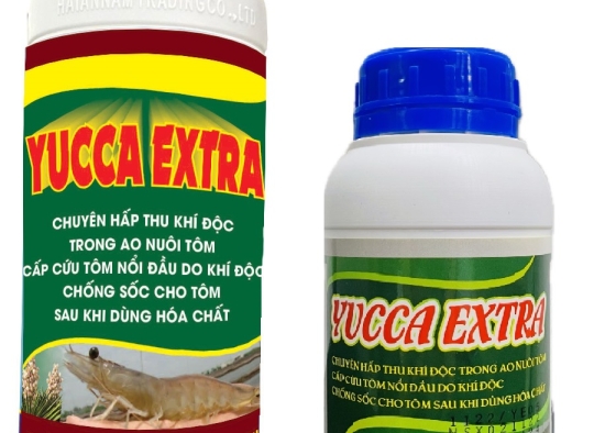 YUCCA EXTRA : CẤP CỨU TÔM NỔI ĐẦU - HẤP THU KHÍ ĐỘC NH3, H2S