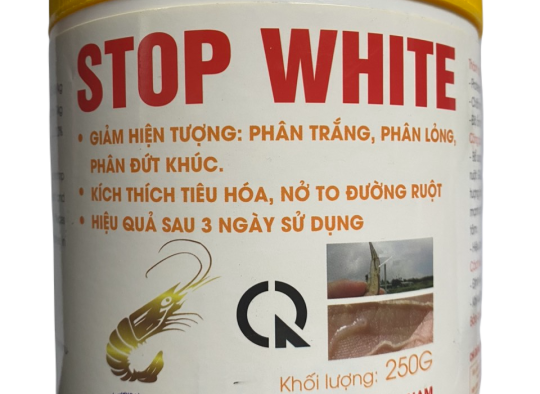 STOP WHITE: Men tiêu hóa đậm đặc, phòng các hiện tượng: phân trắng, phân đứt khúc,...