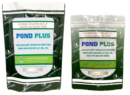 POND PLUS: Vi sinh xử lý nước & đáy ao nuôi tôm. Phân hủy mùn bã hữu cơ trong ao - Tạo màu nước đẹp