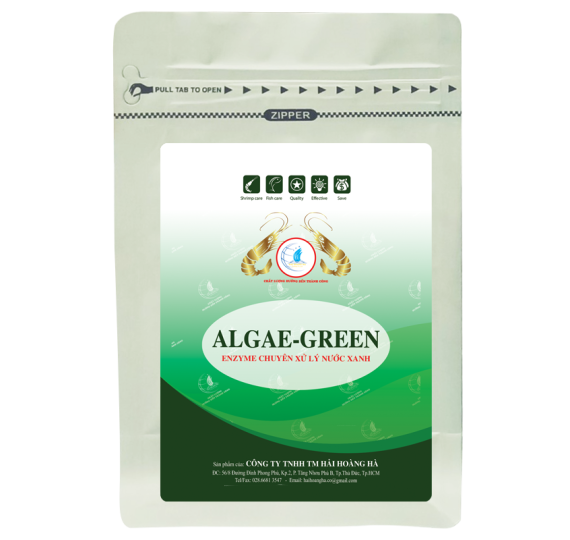 ALGAE - GREEN: Enzyme chuyên xử lý nước xanh